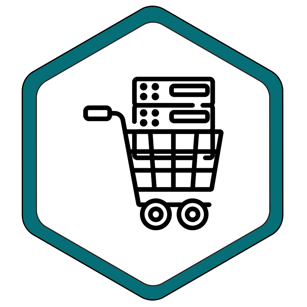 Ecommerce Hosting