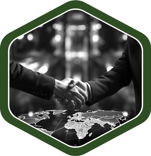 Global Partner Network: White-Label Web Design & SEO Since 2001
